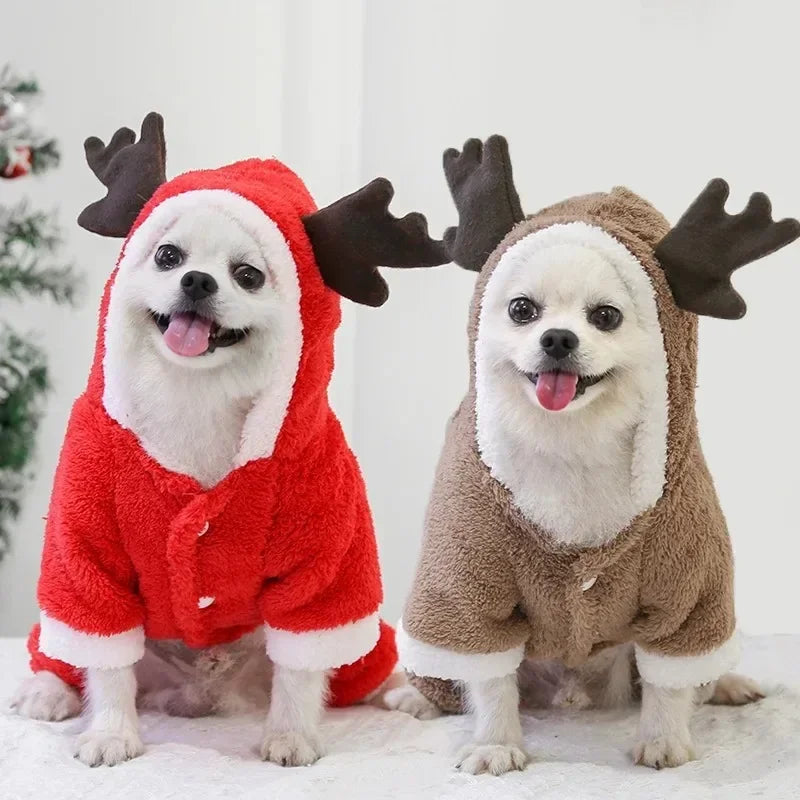 Dog Cozy & Stylish Christmas Clothes