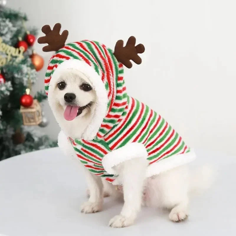 Dog Cozy & Stylish Christmas Clothes