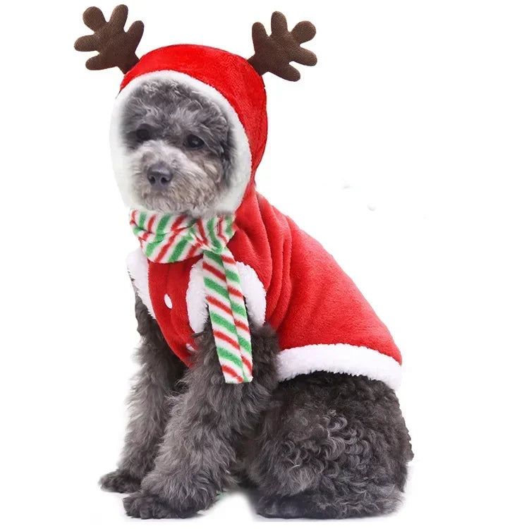 Dog Cozy & Stylish Christmas Clothes